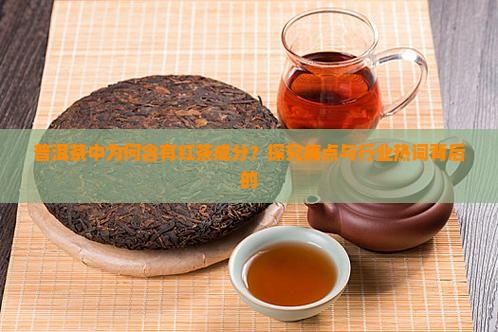 普洱茶中为何含有红茶成分？探究痛点与行业热词背后的