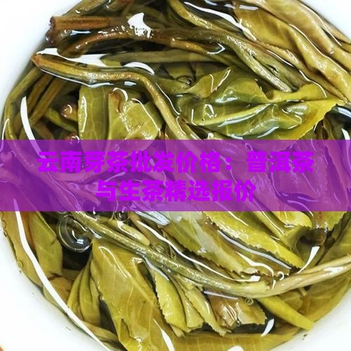 云南芽茶批发价格：普洱茶与生茶精选报价