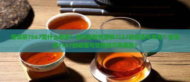 普洱茶7567是什么意思？如何鉴别普洱茶7567的品质与年份？普洱茶7567的收藏与饮用技巧有哪些？