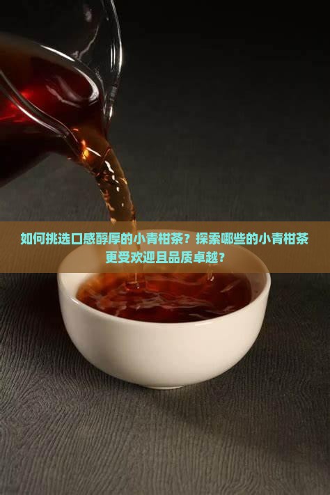 如何挑选口感醇厚的小青柑茶？探索哪些的小青柑茶更受欢迎且品质卓越？