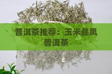 普洱茶推荐：玉米彝凤普洱茶