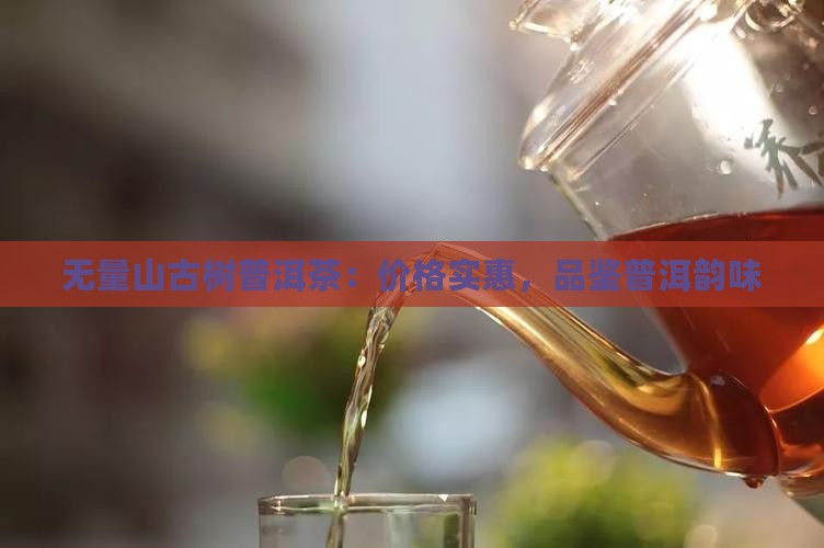 无量山古树普洱茶：价格实惠，品鉴普洱韵味
