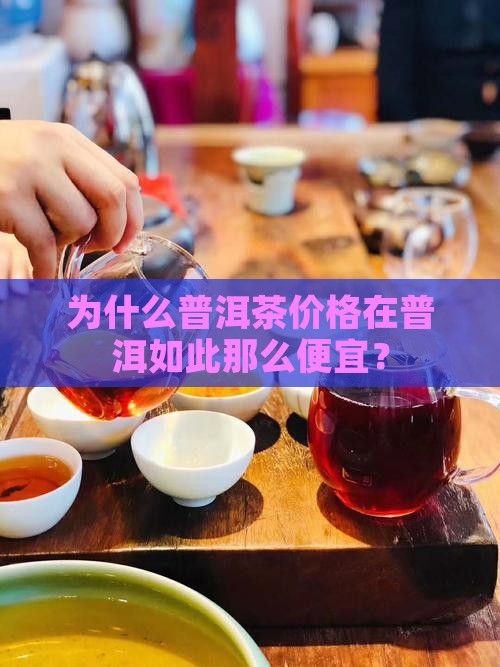 为什么普洱茶价格在普洱如此那么便宜？