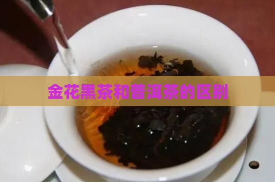 金花黑茶和普洱茶的区别