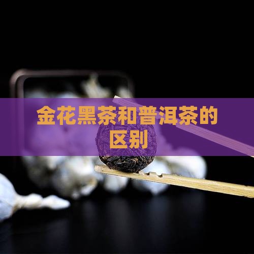 金花黑茶和普洱茶的区别