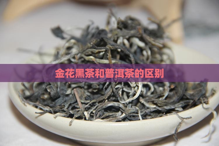 金花黑茶和普洱茶的区别