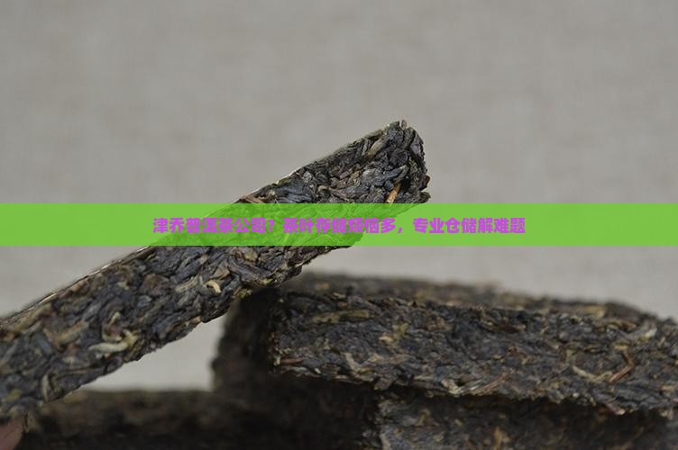 津乔普洱茶公司？茶叶存储烦恼多，专业仓储解难题