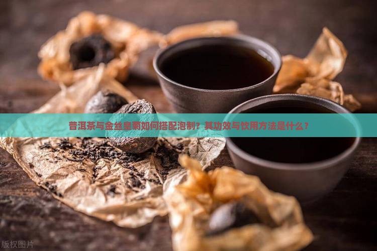 普洱茶与金丝皇菊如何搭配泡制？其功效与饮用方法是什么？
