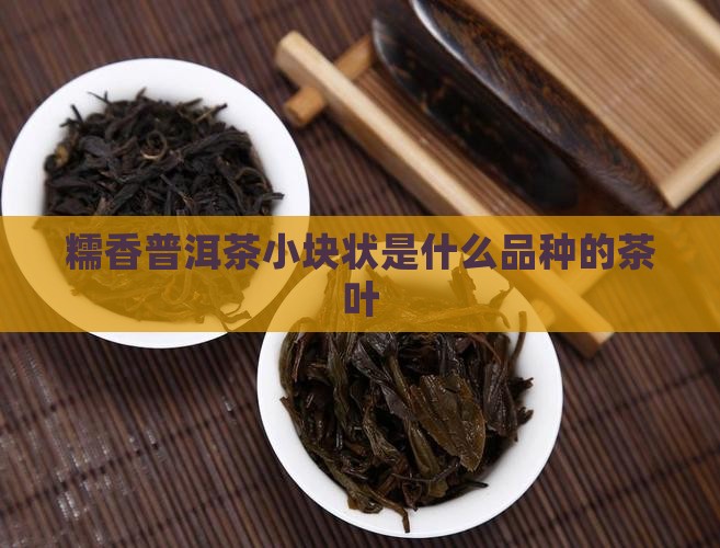 糯香普洱茶小块状是什么品种的茶叶