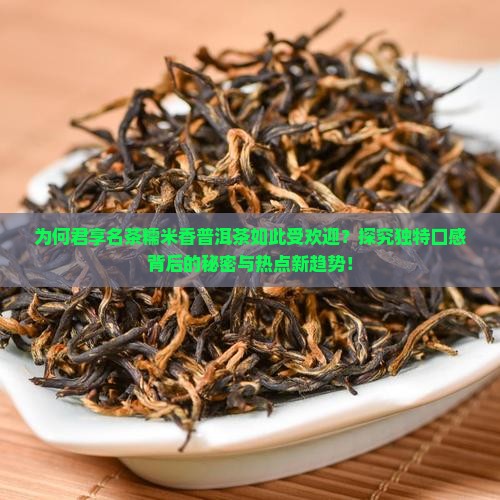 为何君享名茶糯米香普洱茶如此受欢迎？探究独特口感背后的秘密与热点新趋势！