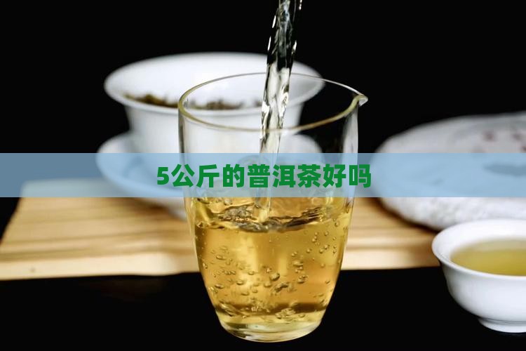 5公斤的普洱茶好吗