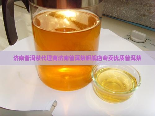 济南普洱茶代理商济南普洱茶旗舰店专卖优质普洱茶