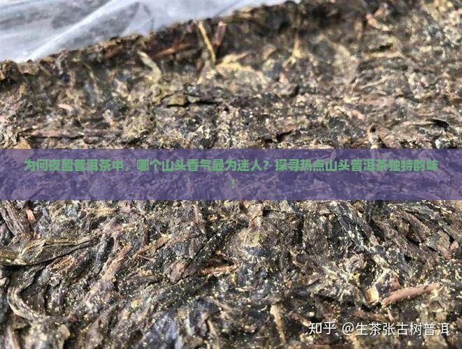 为何夜盟普洱茶中，哪个山头香气最为迷人？探寻热点山头普洱茶独特韵味！