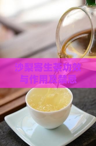 沙梨寄生茶功效与作用及禁忌