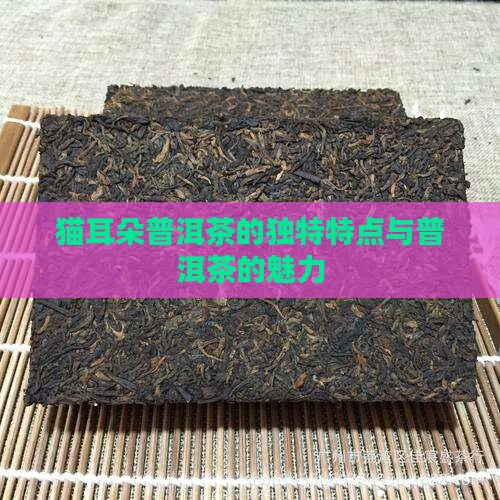 猫耳朵普洱茶的独特特点与普洱茶的魅力