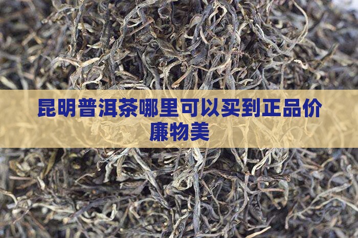 昆明普洱茶哪里可以买到正品价廉物美