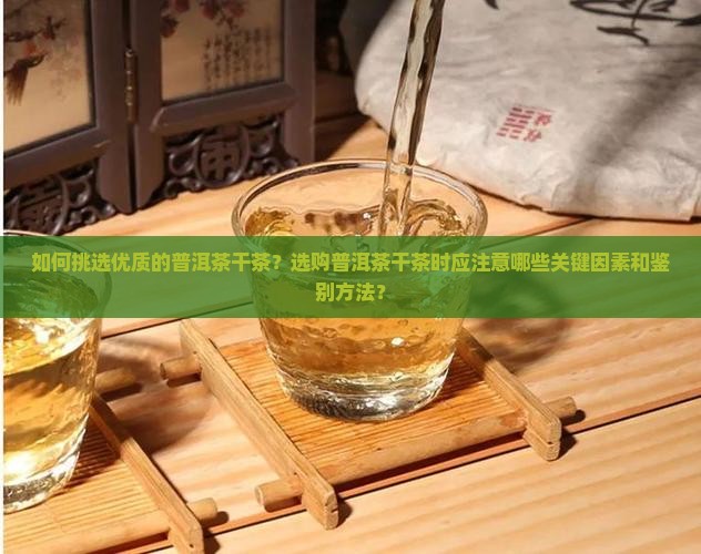 如何挑选优质的普洱茶干茶？选购普洱茶干茶时应注意哪些关键因素和鉴别方法？