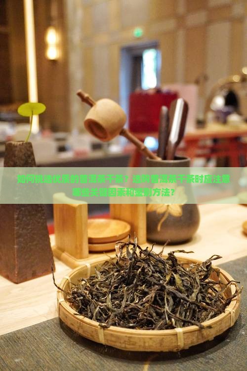 如何挑选优质的普洱茶干茶？选购普洱茶干茶时应注意哪些关键因素和鉴别方法？
