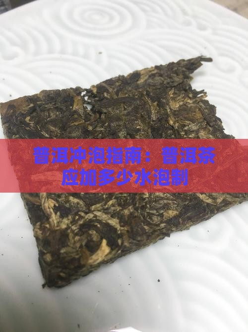 普洱冲泡指南：普洱茶应加多少水泡制