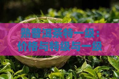 熟普洱茶特一级：价格与特级与一级区别对比