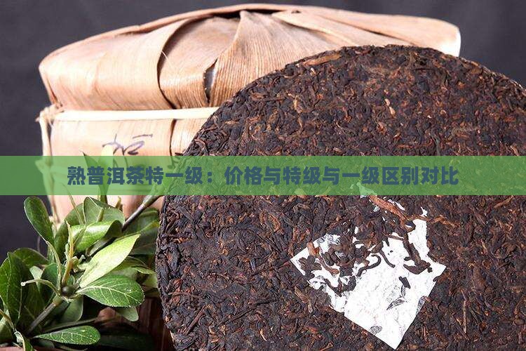 熟普洱茶特一级：价格与特级与一级区别对比