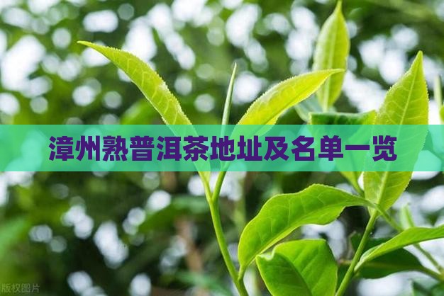 漳州熟普洱茶地址及名单一览