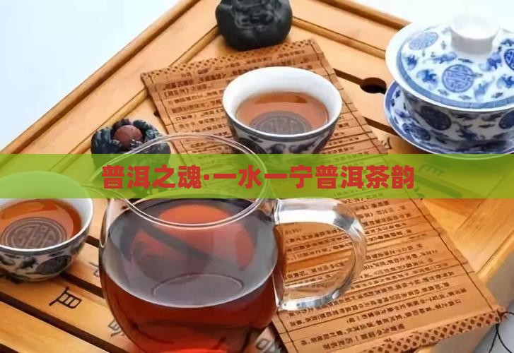 普洱之魂·一水一宁普洱茶韵