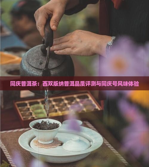 同庆普洱茶：西双版纳普洱品质评测与同庆号风味体验