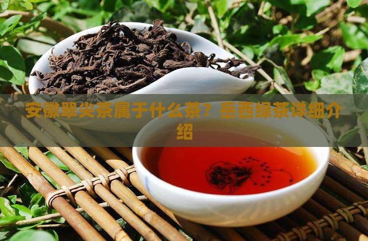 安徽翠尖茶属于什么茶？岳西绿茶详细介绍
