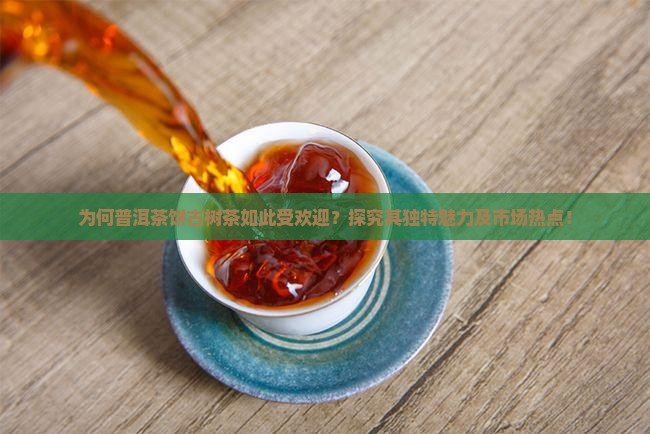 为何普洱茶饼古树茶如此受欢迎？探究其独特魅力及市场热点！