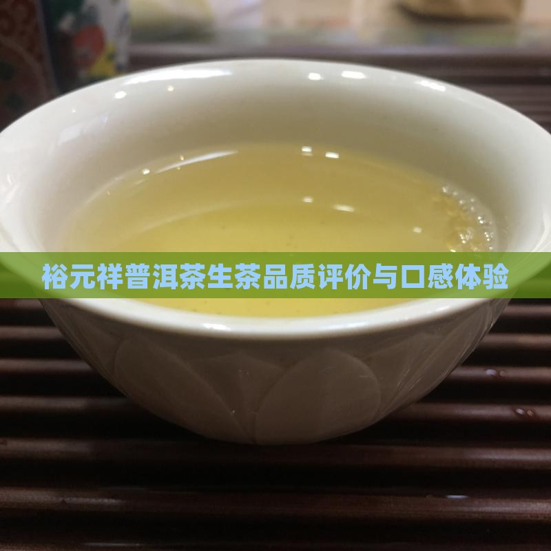 裕元祥普洱茶生茶品质评价与口感体验