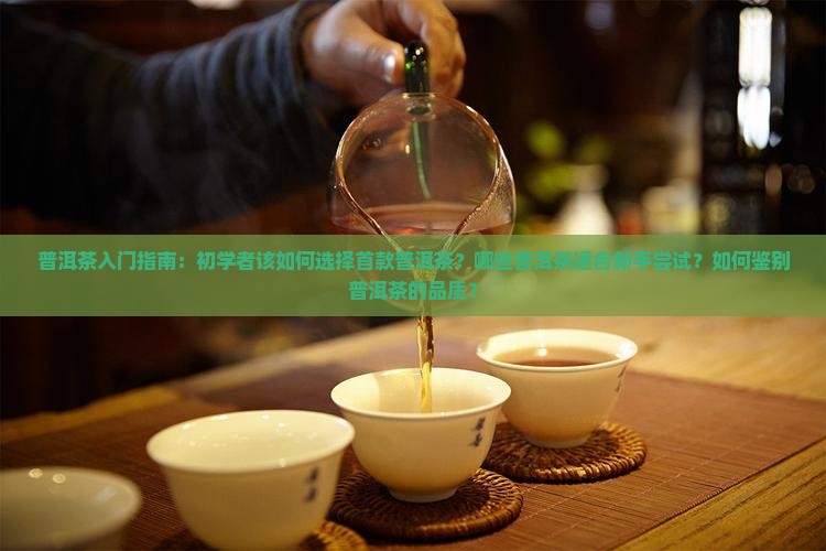 普洱茶入门指南：初学者该如何选择首款普洱茶？哪些普洱茶适合新手尝试？如何鉴别普洱茶的品质？