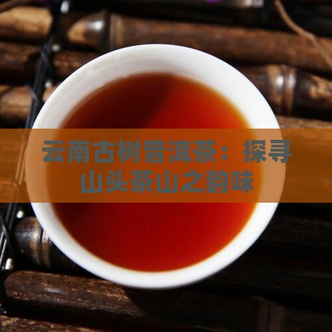 云南古树普洱茶：探寻山头茶山之韵味