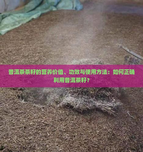 普洱茶茶籽的营养价值、功效与使用方法：如何正确利用普洱茶籽？