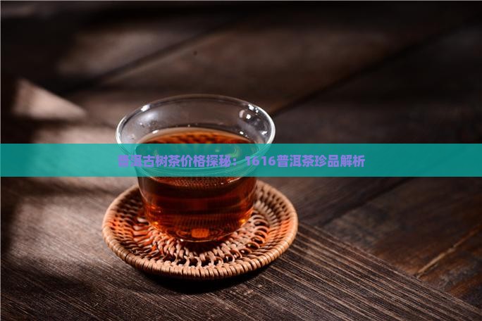 普洱古树茶价格探秘：1616普洱茶珍品解析