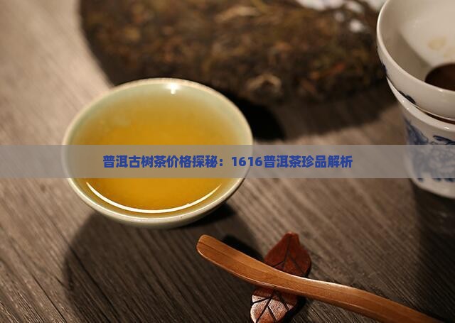 普洱古树茶价格探秘：1616普洱茶珍品解析