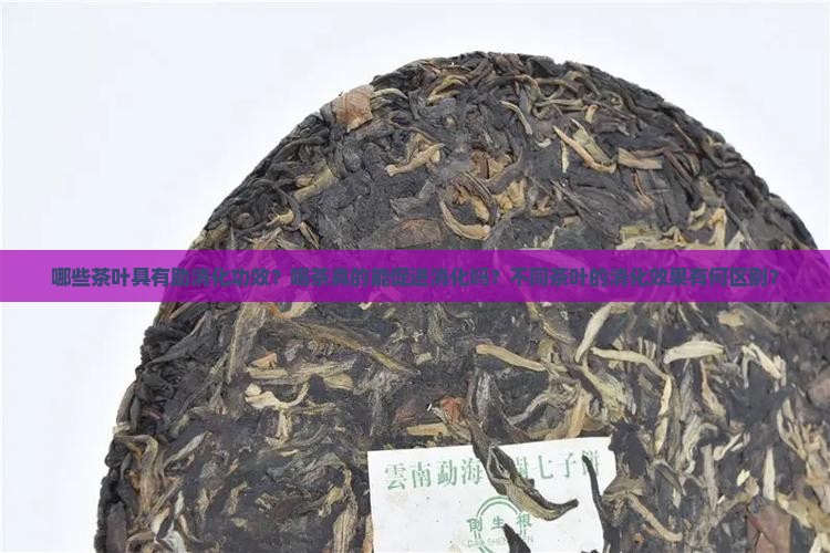 哪些茶叶具有助消化功效？喝茶真的能促进消化吗？不同茶叶的消化效果有何区别？
