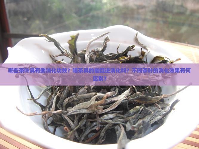 哪些茶叶具有助消化功效？喝茶真的能促进消化吗？不同茶叶的消化效果有何区别？