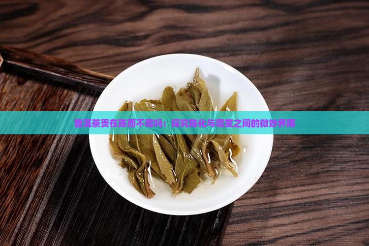 普洱茶贵在陈而不霉吗：探究陈化与霉变之间的微妙界限