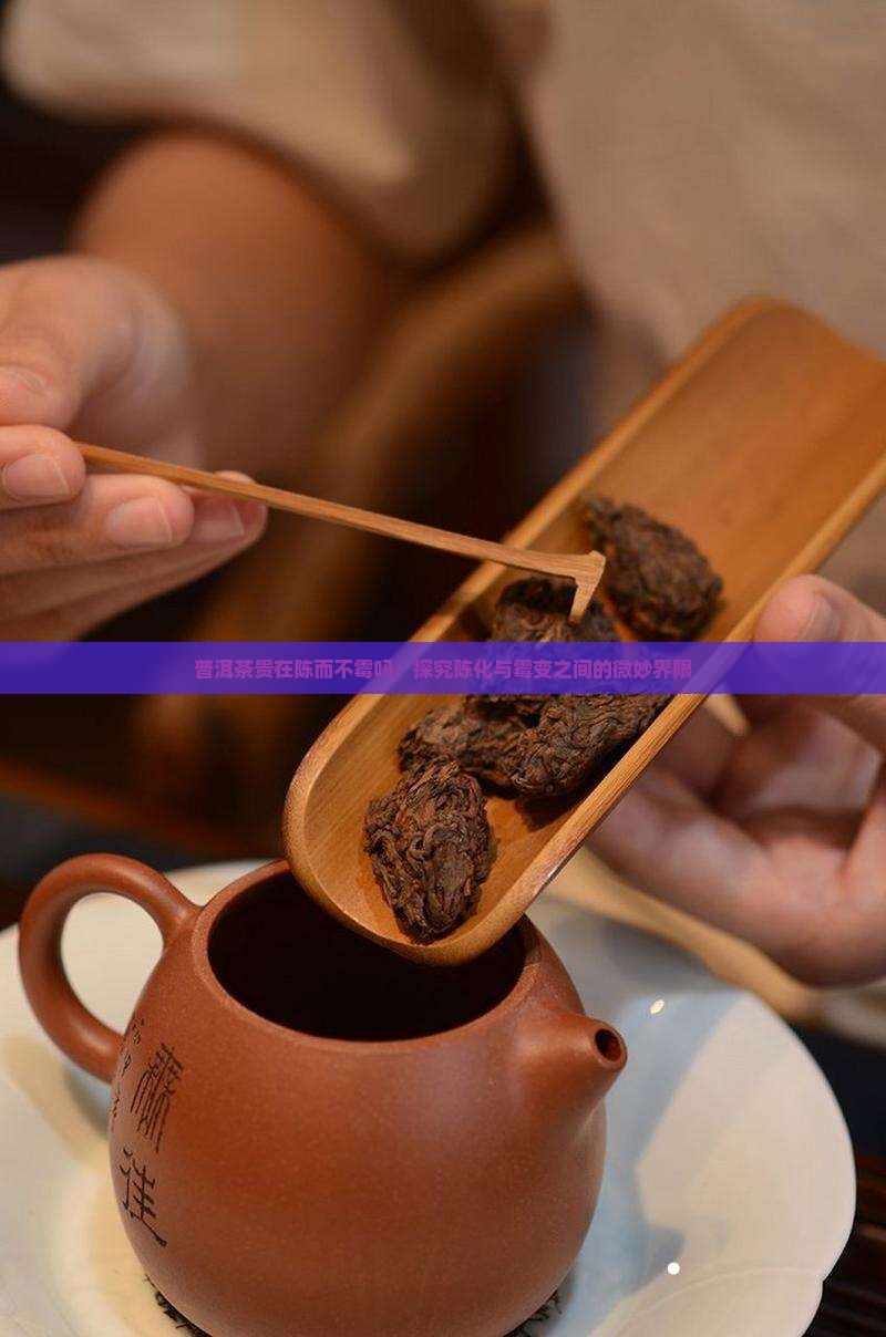 普洱茶贵在陈而不霉吗：探究陈化与霉变之间的微妙界限