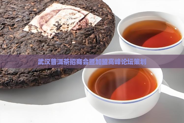 武汉普洱茶招商会暨加盟高峰论坛策划