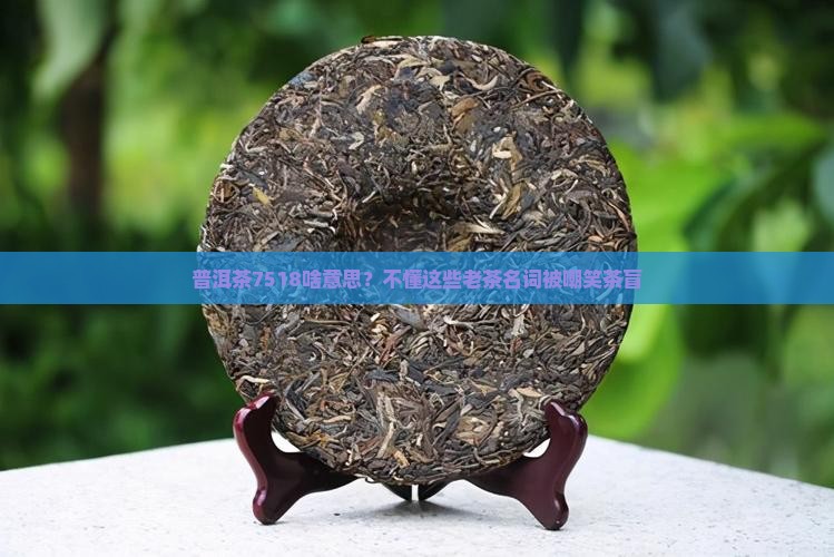 普洱茶7518啥意思？不懂这些老茶名词被嘲笑茶盲