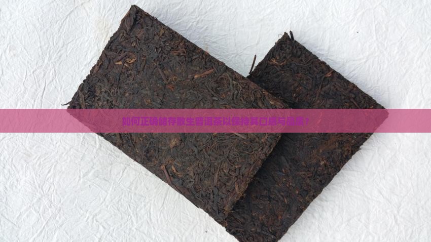 如何正确储存散生普洱茶以保持其口感与品质？