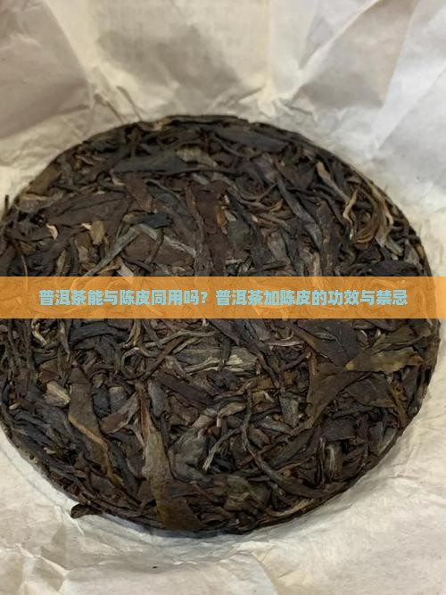 普洱茶能与陈皮同用吗？普洱茶加陈皮的功效与禁忌