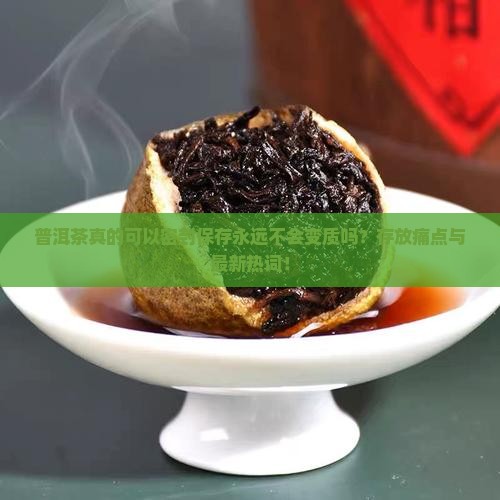 普洱茶真的可以密封保存永远不会变质吗？存放痛点与最新热词！