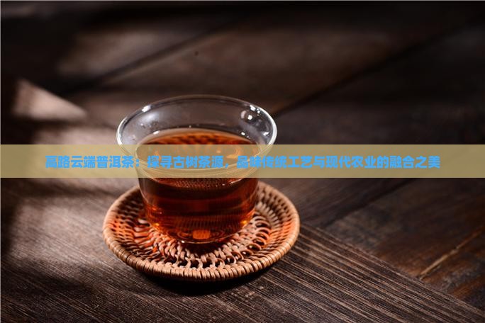 高路云端普洱茶：探寻古树茶源，品味传统工艺与现代农业的融合之美