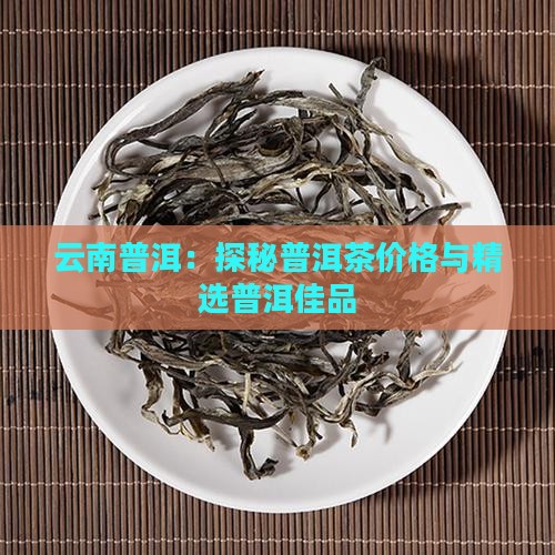 云南普洱：探秘普洱茶价格与精选普洱佳品