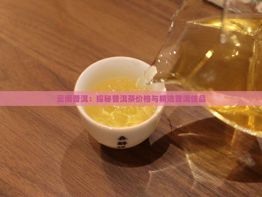 云南普洱：探秘普洱茶价格与精选普洱佳品