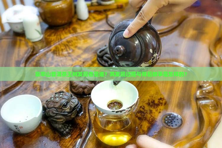 哀牢山普洱茶王树发现者是谁？其发现过程与背后故事是怎样的？