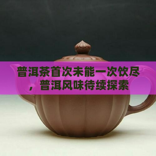 普洱茶首次未能一次饮尽，普洱风味待续探索